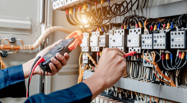 Best Electric Panel Repair  in Waunakee, WI